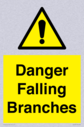 danger-falling-branches~